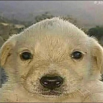 :P