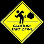 The Fart Debate