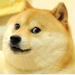 Tower Of Doges