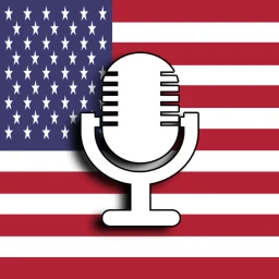  American Voice icon