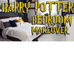 Harry Potter guess the question