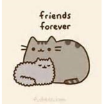 The BFF Pusheen Club [Stormy And Pusheen]