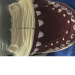 Shark United Group