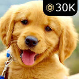 AFK DONATE