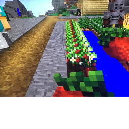 New player’s protecter's Village