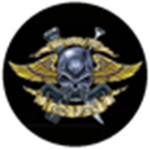 knights of the assault recon