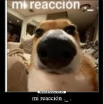 GenteFacha