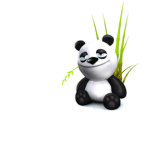 Animal ###### (Every animal in the world)