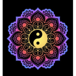 cosmos creators