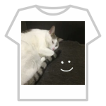 picture of my cat 😺