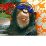 GANGO MY ANGO