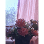 Wilted petal