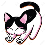 i gattini di Alessandro