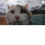 IAMQQQQQQQQQQQQQQQQQQQQQQQQQQQQQQQQQQQQQQQQQQQQQQQ