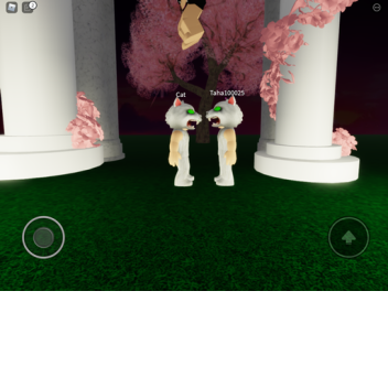 sunset.cat coronation