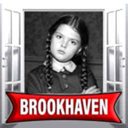 Brookhaven 🏡RP Wednesday X Megan💀⚫️