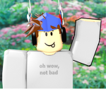 I need robux and I like turtles