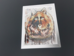 Wolf pack of moonlight