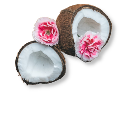 Pinkcoconut hangout