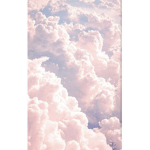 AestheticxCloudsxx