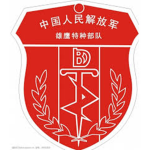 中國雄鷹特種部隊