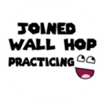 Wall hop fans