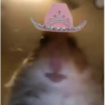 Preppy_Hamsters