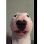 UH OH RENEGADE SAY SO MEMES