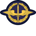 |IIS| International Intelligence Service