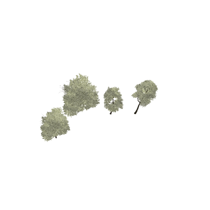 TREE PACK