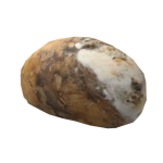 Moldy Potato
