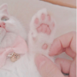 kittyshoes