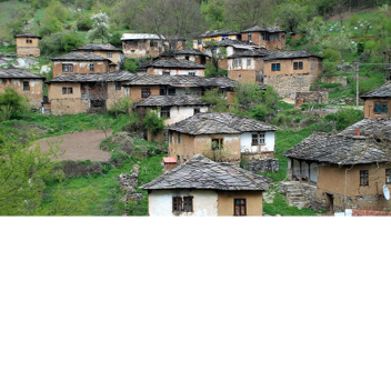 Village
