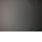 lily is da best
