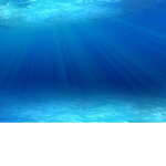 The Coral Reef (Chill Zone)