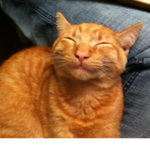 Deity of cats