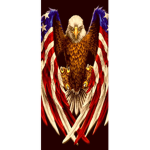 American Military Armed Forces
