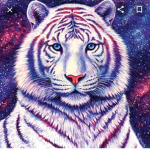 Galaxy Flow