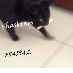 The Hashtag GANG