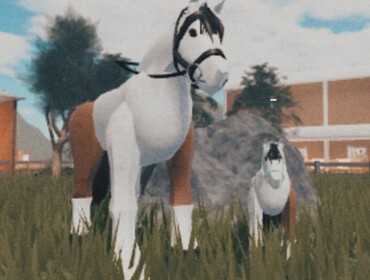 Turbine Riding Academy