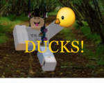 Ducks Sports Academy's