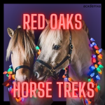 • Red Oaks Horse Treks •