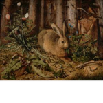 The Rabbit's Garden