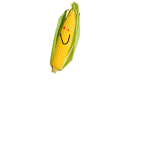 Corn Fan Club