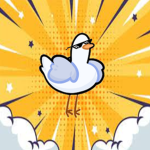 The Pigeon Fan group