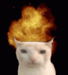 yo mama heheheheh