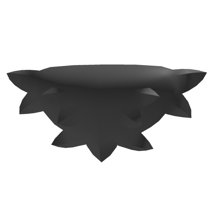 Raccoon Neck Fur