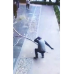 TreesAreSoHardTheyCanInjureYou