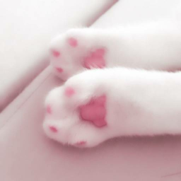 ・ ┆ʚ ♡ɞ ┆ ・
