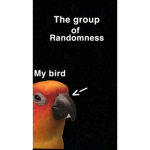 The group of Randomness HMM